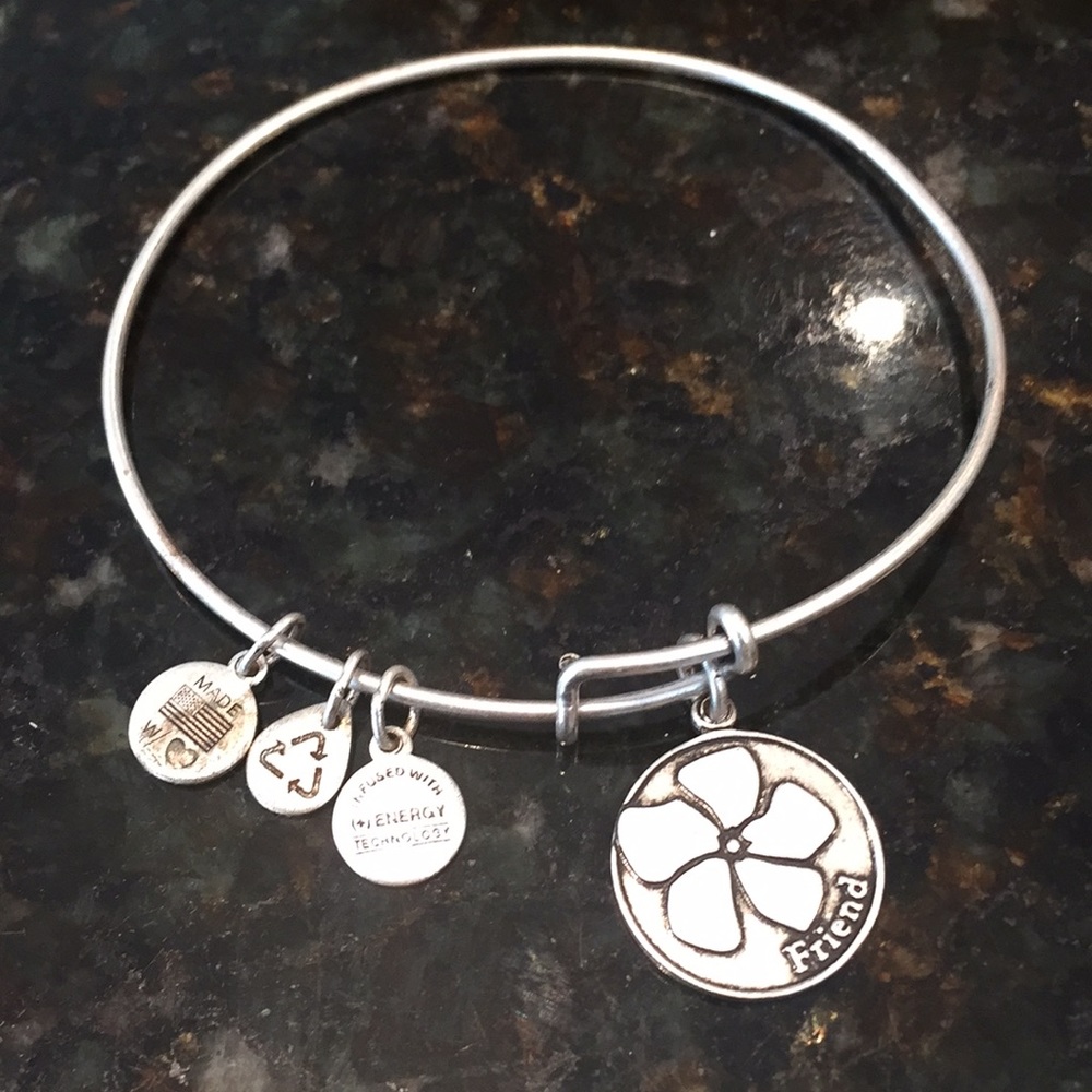 Alex and Ani Friend Bracelet - Picture 1 of 1